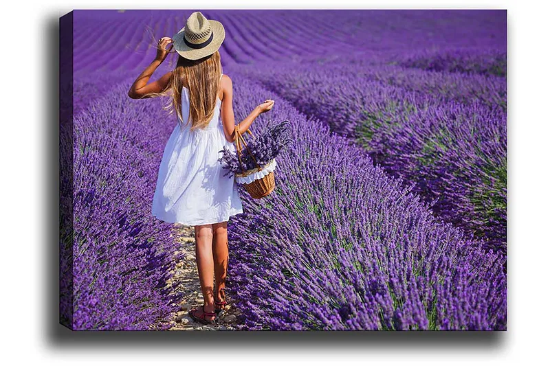 Dekorativ Canvasbilde 50x70 cm - Flerfarget - Innredning - Bilder & kunst - Lerretsbilder