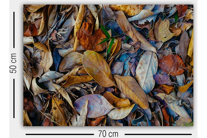 Dekorativ Canvasbilde 50x70 cm - Flerfarget - Innredning - Bilder & kunst - Lerretsbilder