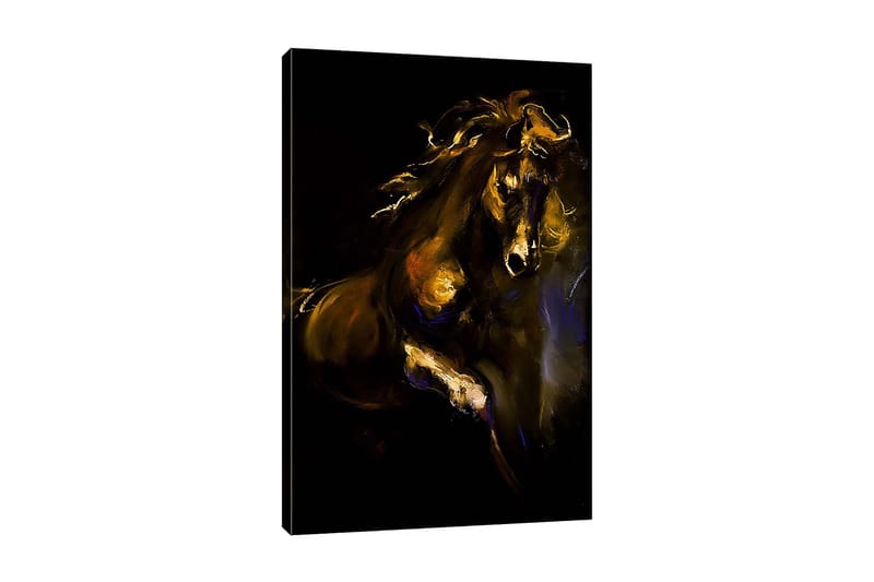 Dekorativ Canvasbilde 50x70 cm, Flerfarget