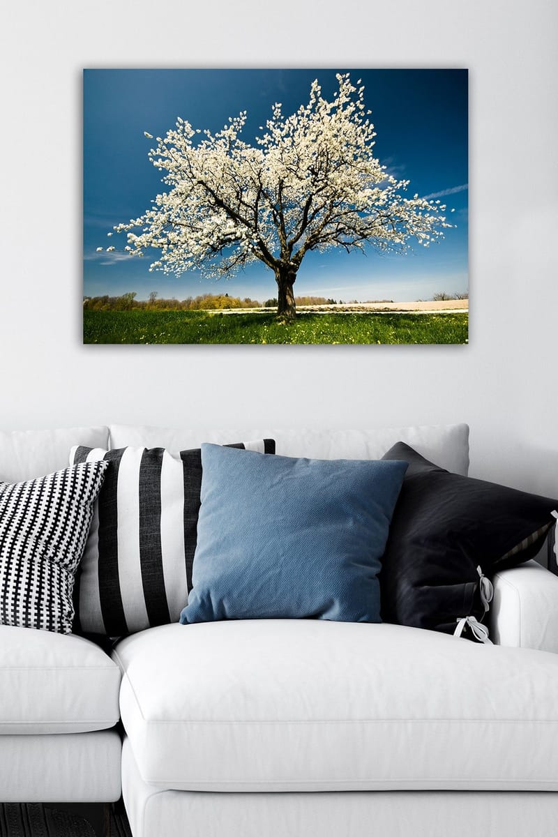 Dekorativ Canvasbilde 50x70 cm - Flerfarget - Innredning - Bilder & kunst - Lerretsbilder