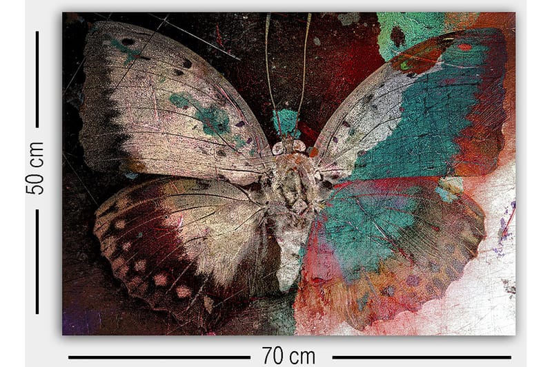 Dekorativ Canvasbilde 50x70 cm - Flerfarget - Innredning - Bilder & kunst - Lerretsbilder