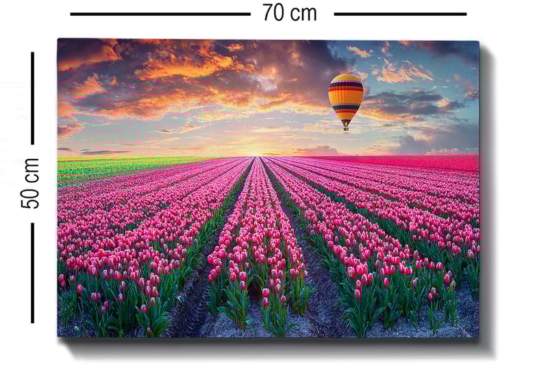 Dekorativ Canvasbilde 50x70 cm - Flerfarget - Innredning - Bilder & kunst - Lerretsbilder