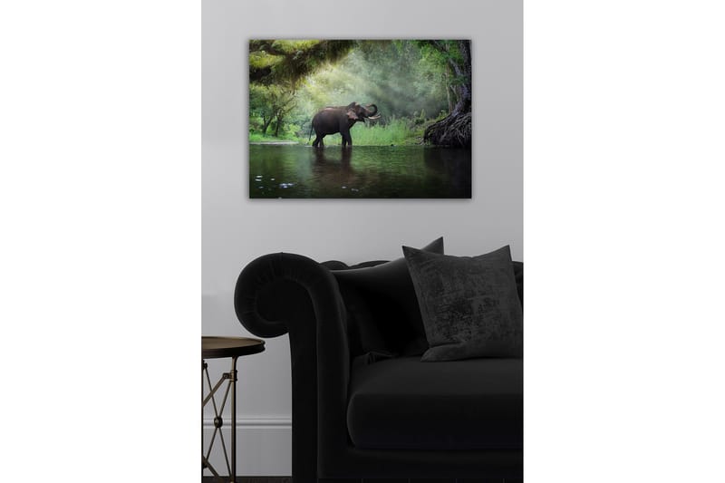 Dekorativ Canvasbilde 50x70 cm - Flerfarget - Innredning - Bilder & kunst - Lerretsbilder