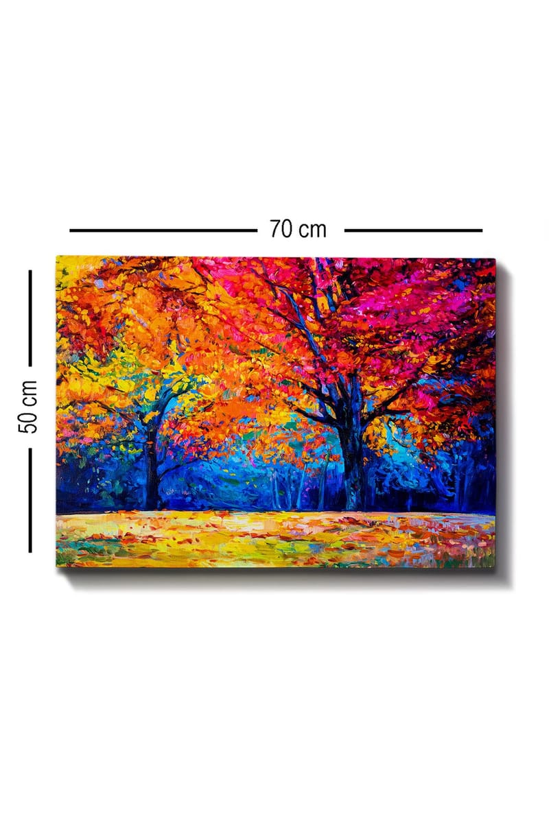 Dekorativ Canvasbilde 50x70 cm - Flerfarget - Innredning - Bilder & kunst - Lerretsbilder