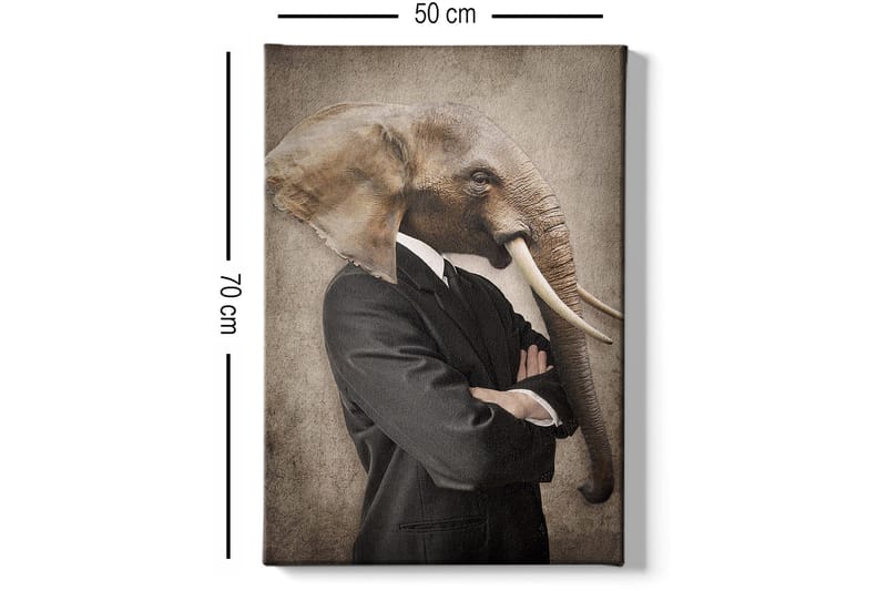 Dekorativ Canvasbilde 50x70 cm - Flerfarget - Innredning - Bilder & kunst - Lerretsbilder