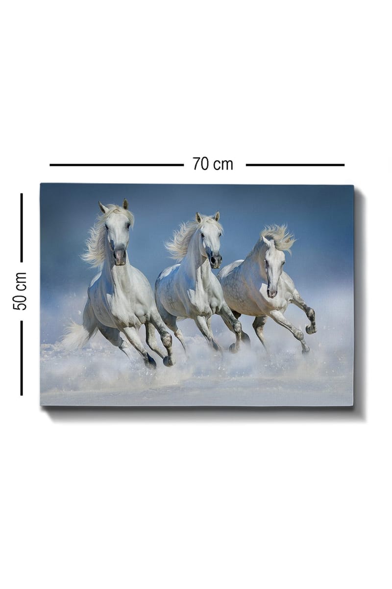 Dekorativ Canvasbilde 50x70 cm - Flerfarget - Innredning - Bilder & kunst - Lerretsbilder