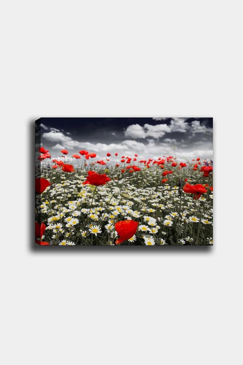 Dekorativ Canvasbilde 50x70 cm - Flerfarget - Innredning - Bilder & kunst - Lerretsbilder