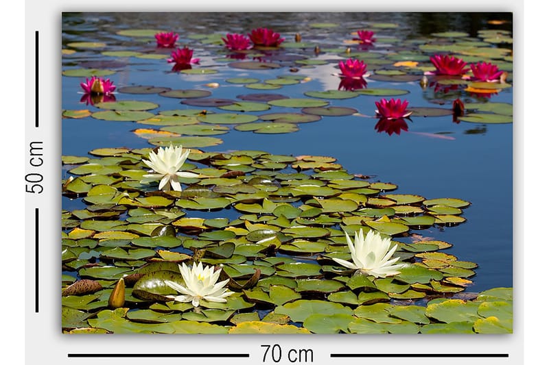 Dekorativ Canvasbilde 50x70 cm - Flerfarget - Innredning - Bilder & kunst - Lerretsbilder