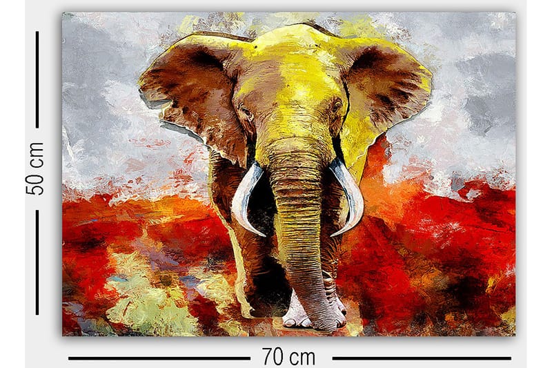 Dekorativ Canvasbilde 50x70 cm - Flerfarget - Innredning - Bilder & kunst - Lerretsbilder