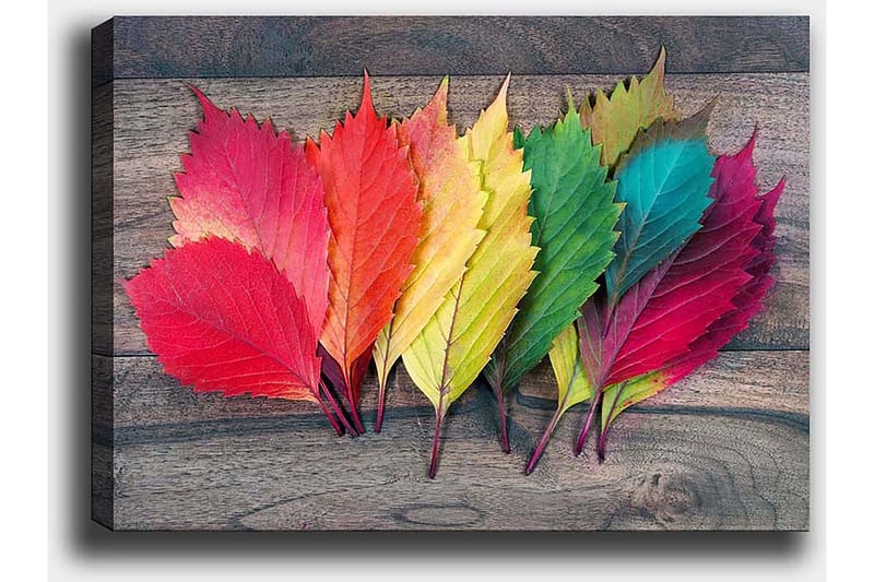 Dekorativ Canvasbilde 50x70 cm - Flerfarget - Innredning - Bilder & kunst - Lerretsbilder