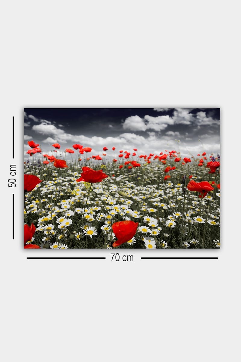 Dekorativ Canvasbilde 50x70 cm - Flerfarget - Innredning - Bilder & kunst - Lerretsbilder