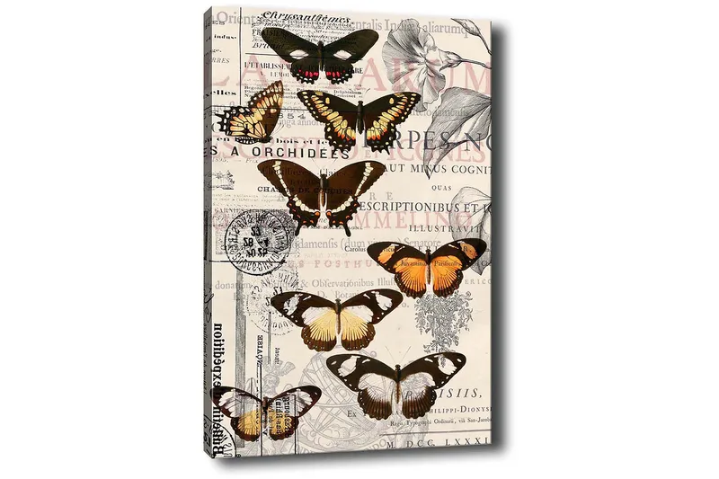 Dekorativ Canvasbilde 50x70 cm - Flerfarget - Innredning - Bilder & kunst - Lerretsbilder