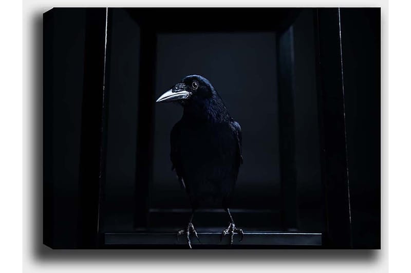 Dekorativ Canvasbilde 50x70 cm - Flerfarget - Innredning - Bilder & kunst - Lerretsbilder