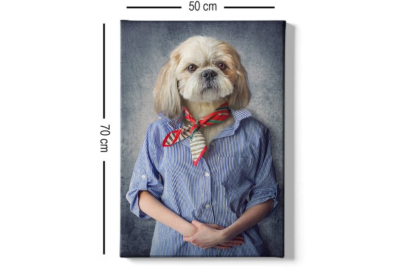 Dekorativ Canvasbilde 50x70 cm - Flerfarget - Innredning - Bilder & kunst - Lerretsbilder