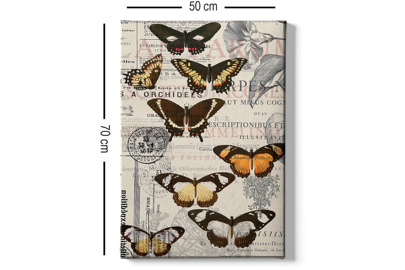 Dekorativ Canvasbilde 50x70 cm - Flerfarget - Innredning - Bilder & kunst - Lerretsbilder