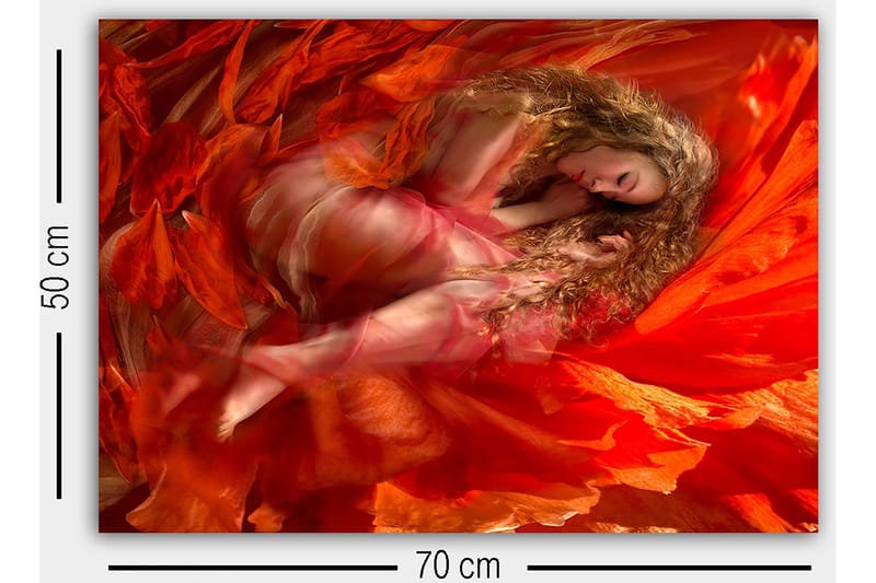 Dekorativ Canvasbilde 50x70 cm - Flerfarget - Innredning - Bilder & kunst - Lerretsbilder