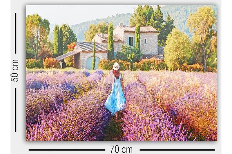 Dekorativ Canvasbilde 50x70 cm - Flerfarget - Innredning - Bilder & kunst - Lerretsbilder