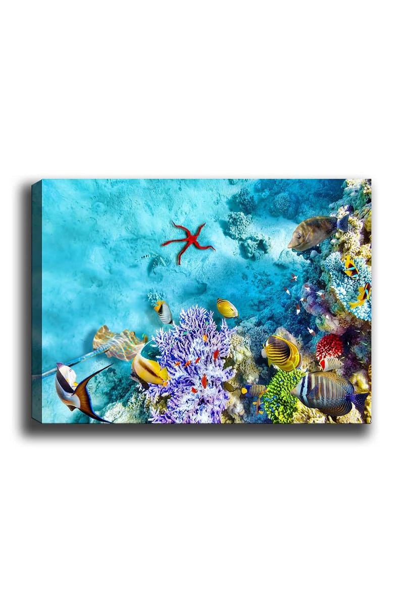 Dekorativ Canvasbilde 50x70 cm, Flerfarget