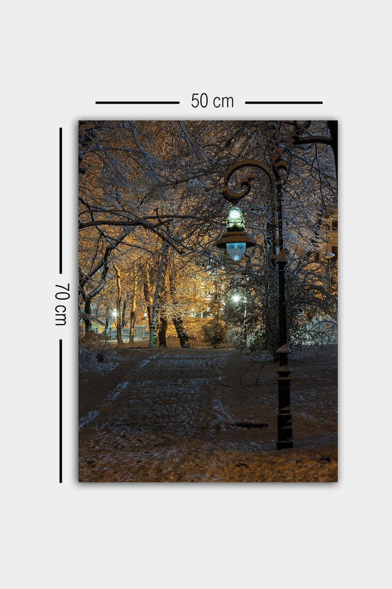 Dekorativ Canvasbilde 50x70 cm - Flerfarget - Innredning - Bilder & kunst - Lerretsbilder