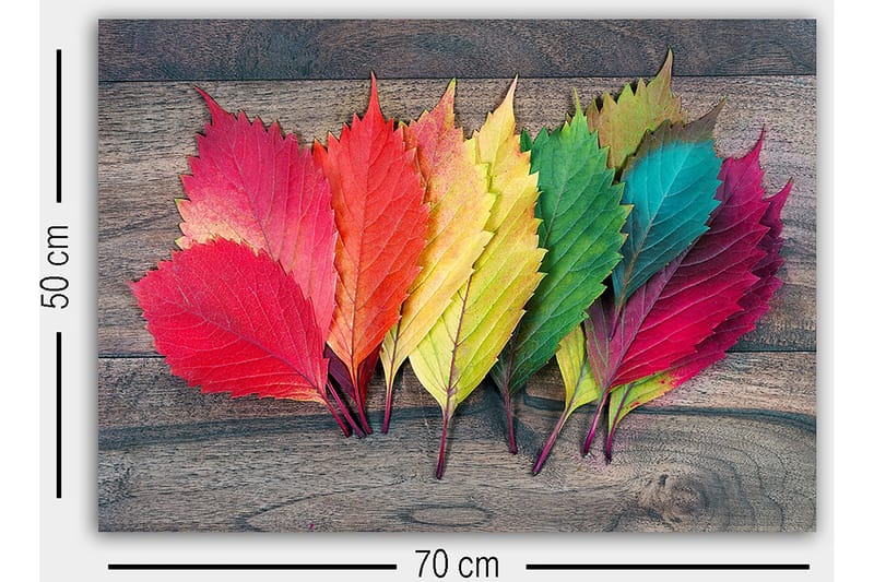 Dekorativ Canvasbilde 50x70 cm - Flerfarget - Innredning - Bilder & kunst - Lerretsbilder