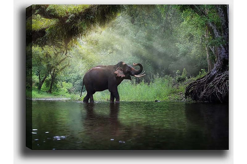 Dekorativ Canvasbilde 50x70 cm - Flerfarget - Innredning - Bilder & kunst - Lerretsbilder