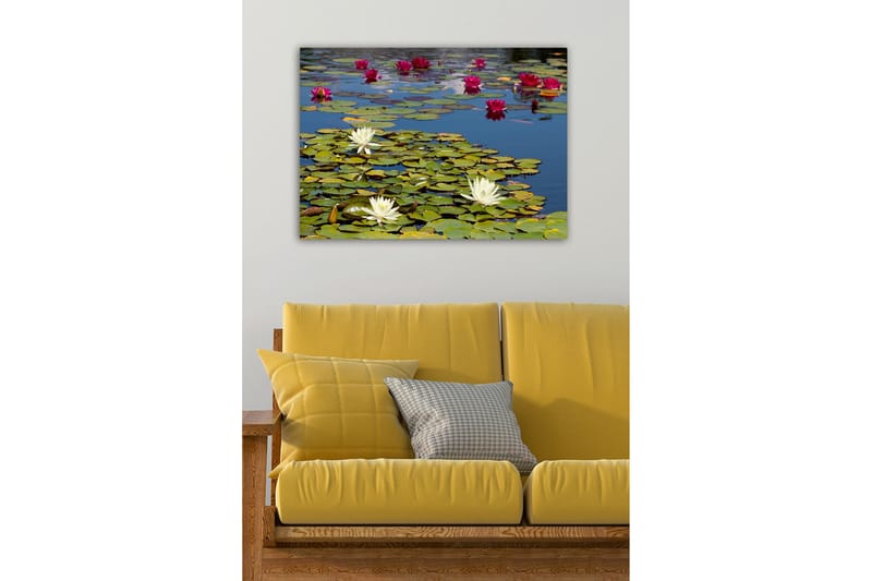 Dekorativ Canvasbilde 50x70 cm, Flerfarget