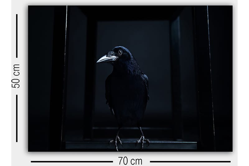 Dekorativ Canvasbilde 50x70 cm - Flerfarget - Innredning - Bilder & kunst - Lerretsbilder