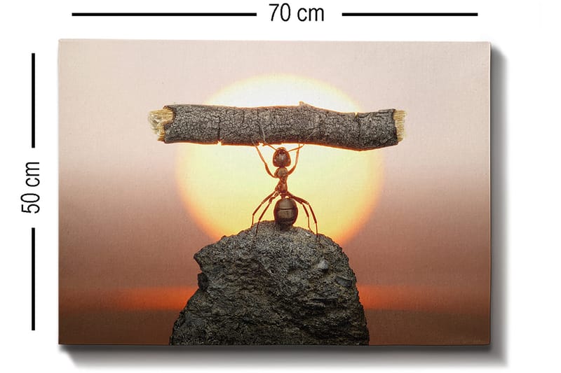 Dekorativ Canvasbilde 50x70 cm - Flerfarget - Innredning - Bilder & kunst - Lerretsbilder