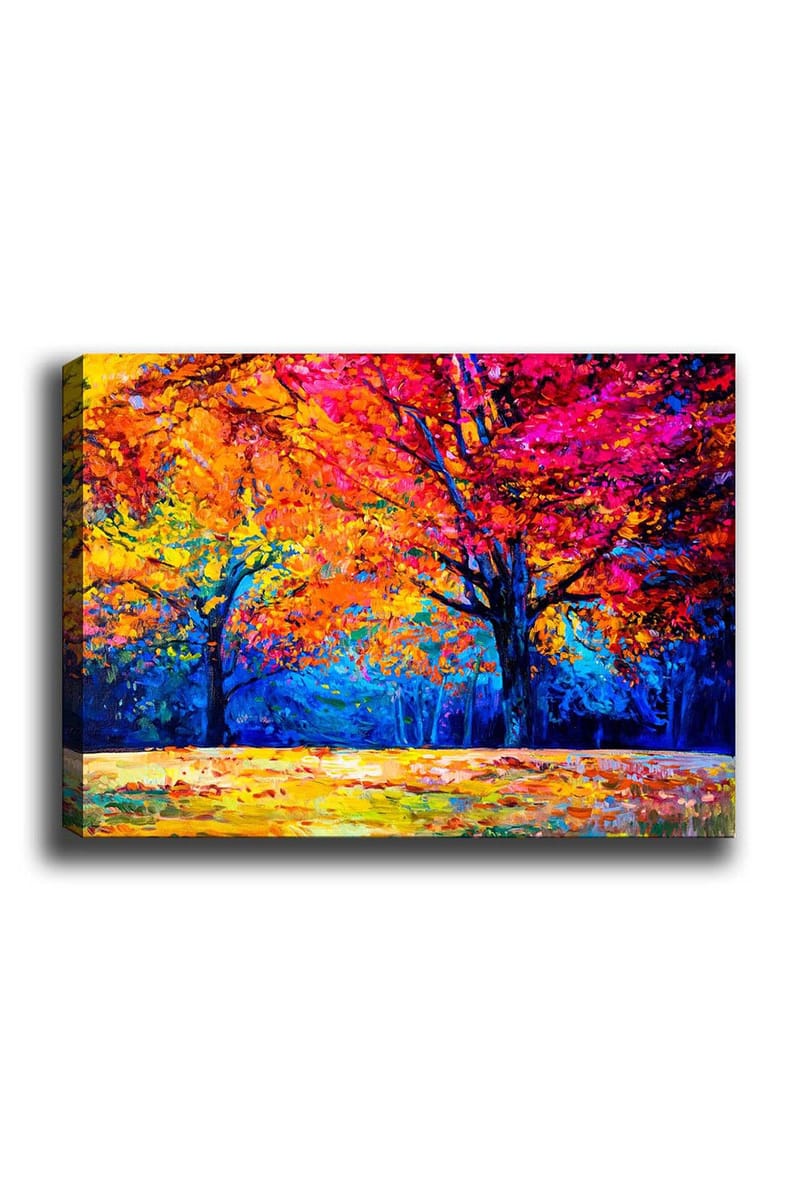 Dekorativ Canvasbilde 50x70 cm, Flerfarget