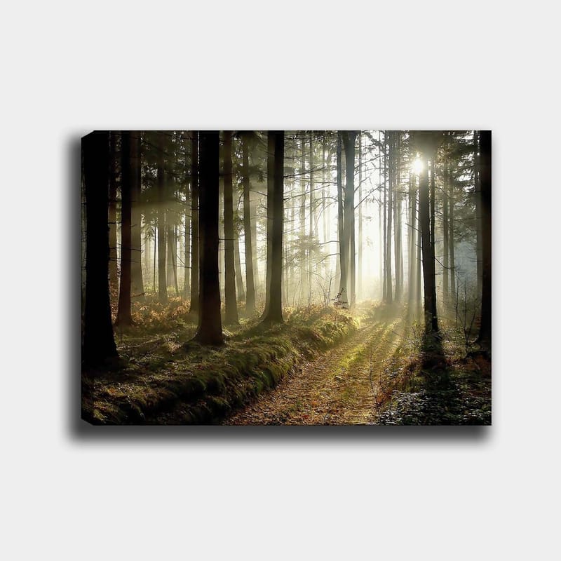 Dekorativ Canvasbilde 70x100 cm - Flerfarget - Innredning - Bilder & kunst - Lerretsbilder