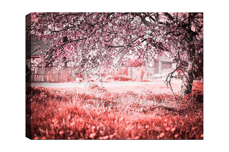 Dekorativ Canvasbilde 70x100 cm - Flerfarget - Innredning - Bilder & kunst - Lerretsbilder