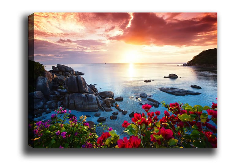 Dekorativ Canvasbilde 70x100 cm - Flerfarget - Innredning - Bilder & kunst - Lerretsbilder
