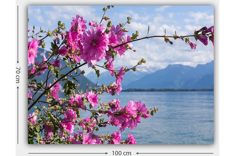 Dekorativ Canvasbilde 70x100 cm - Flerfarget - Innredning - Bilder & kunst - Lerretsbilder