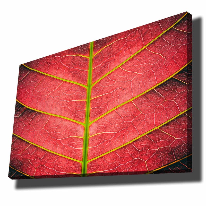 Dekorativ Canvasbilde 70x100 cm - Flerfarget - Innredning - Bilder & kunst - Lerretsbilder