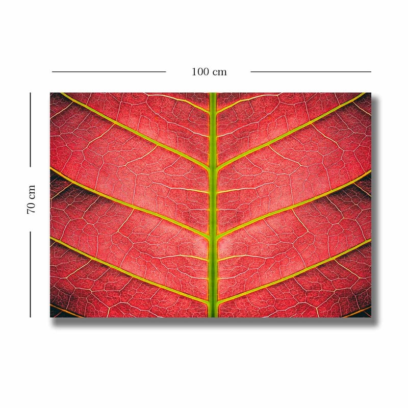 Dekorativ Canvasbilde 70x100 cm - Flerfarget - Innredning - Bilder & kunst - Lerretsbilder
