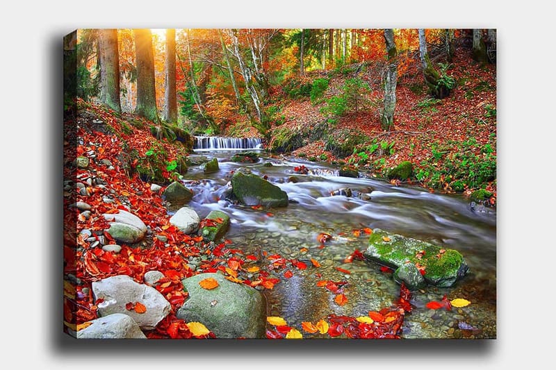 Dekorativ Canvasbilde 70x100 cm - Flerfarget - Innredning - Bilder & kunst - Lerretsbilder