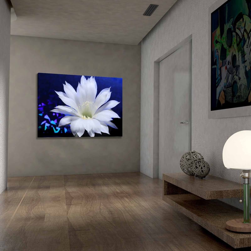Dekorativ Canvasbilde 70x100 cm - Flerfarget - Innredning - Bilder & kunst - Lerretsbilder
