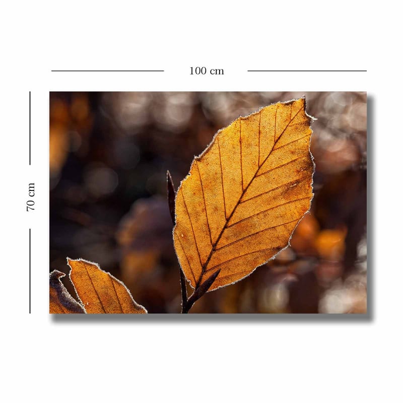 Dekorativ Canvasbilde 70x100 cm - Flerfarget - Innredning - Bilder & kunst - Lerretsbilder