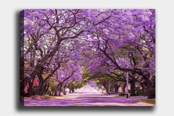 Dekorativ Canvasbilde 70x100 cm - Flerfarget - Innredning - Bilder & kunst - Lerretsbilder