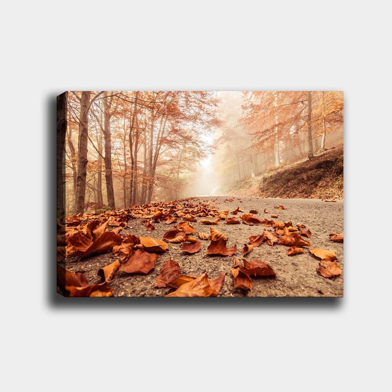 Dekorativ Canvasbilde 70x100 cm - Flerfarget - Innredning - Bilder & kunst - Lerretsbilder