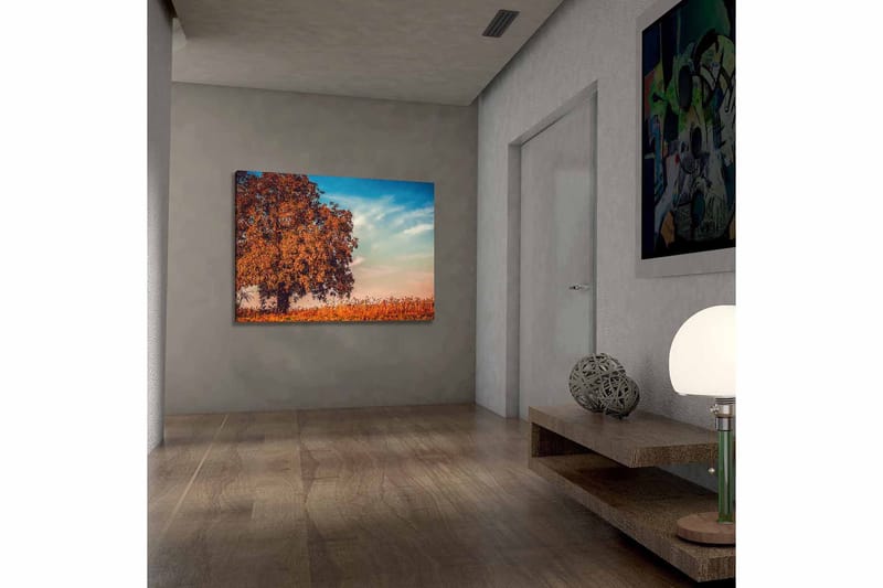 Dekorativ Canvasbilde 70x100 cm - Flerfarget - Innredning - Bilder & kunst - Lerretsbilder