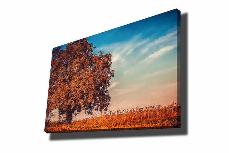 Dekorativ Canvasbilde 70x100 cm - Flerfarget - Innredning - Bilder & kunst - Lerretsbilder