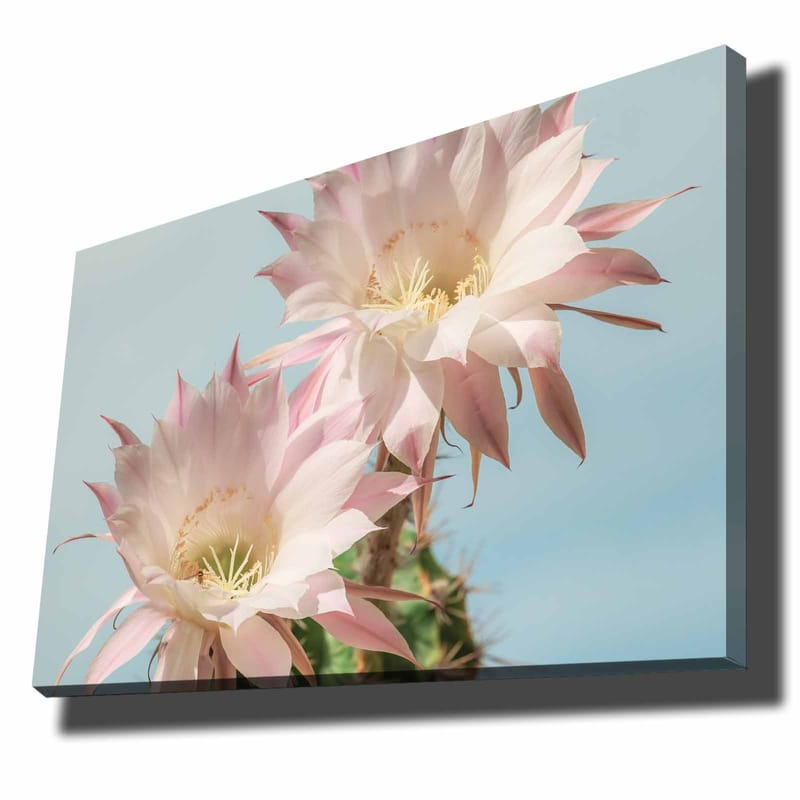 Dekorativ Canvasbilde 70x100 cm - Flerfarget - Innredning - Bilder & kunst - Lerretsbilder