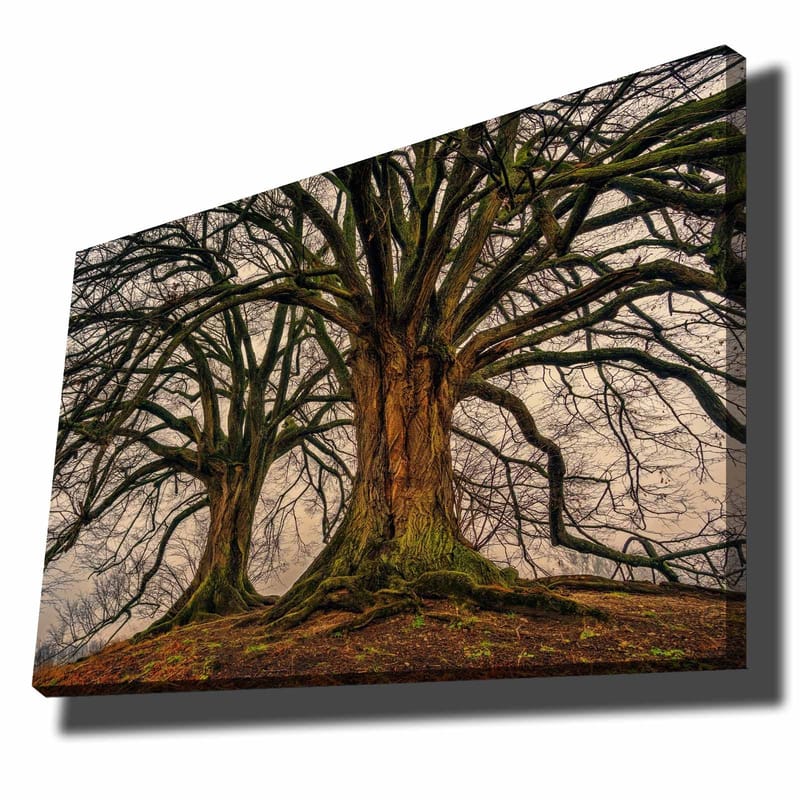 Dekorativ Canvasbilde 70x100 cm - Flerfarget - Innredning - Bilder & kunst - Lerretsbilder
