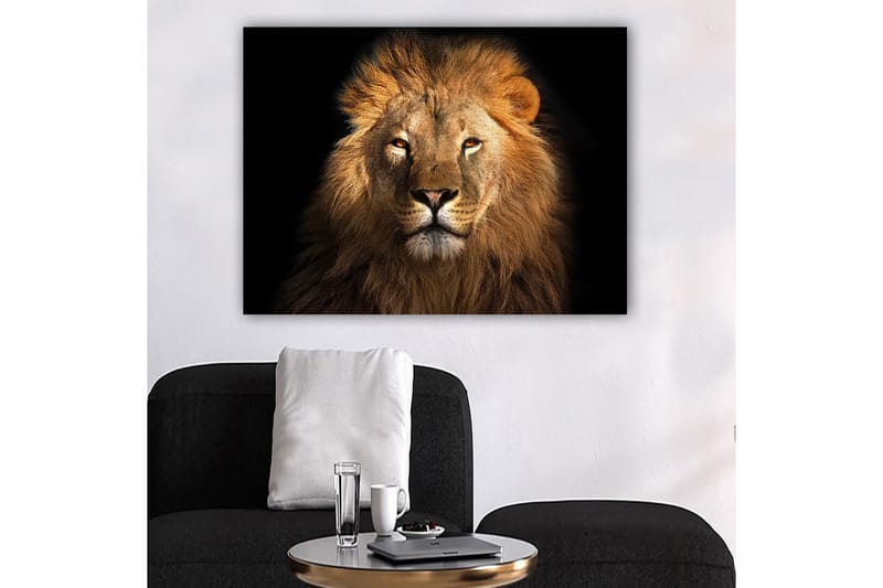 Dekorativ Canvasbilde 70x100 cm - Flerfarget - Innredning - Bilder & kunst - Lerretsbilder