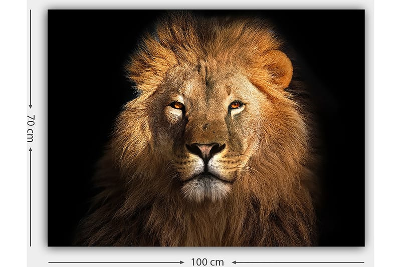 Dekorativ Canvasbilde 70x100 cm - Flerfarget - Innredning - Bilder & kunst - Lerretsbilder