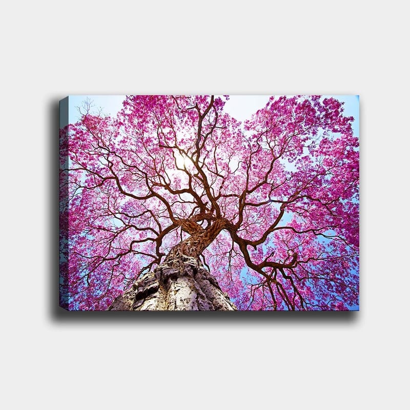 Dekorativ Canvasbilde 70x100 cm - Flerfarget - Innredning - Bilder & kunst - Lerretsbilder