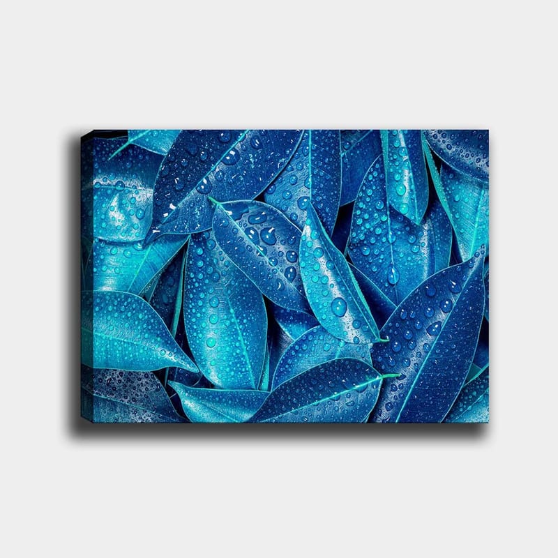 Dekorativ Canvasbilde 70x100 cm - Flerfarget - Innredning - Bilder & kunst - Lerretsbilder