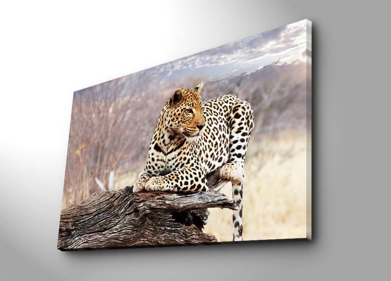 Dekorativ Canvasbilde 70x100 cm - Flerfarget - Innredning - Bilder & kunst - Lerretsbilder