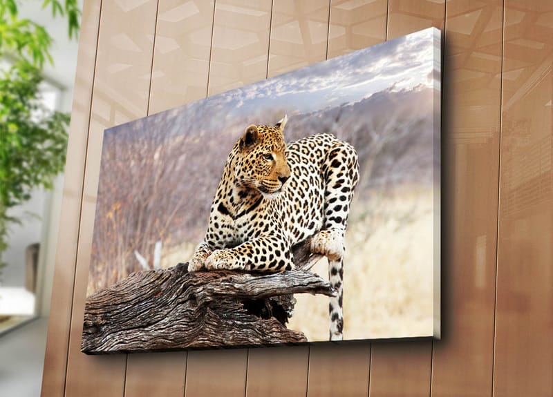 Dekorativ Canvasbilde 70x100 cm - Flerfarget - Innredning - Bilder & kunst - Lerretsbilder